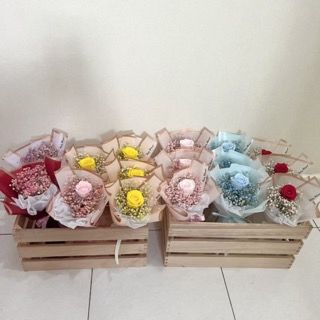 Petite Rosy